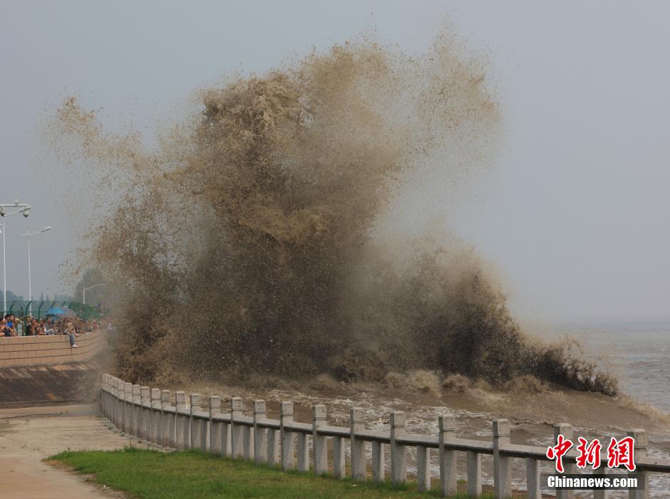 �㽭����Ǯ����ӿ ���ڷ�ӵ�����߹۾���