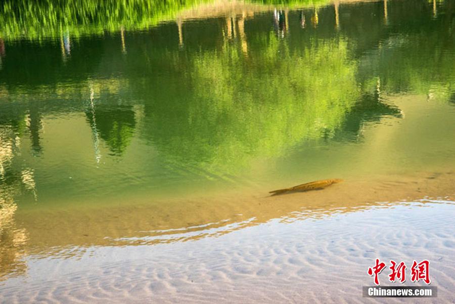 �ػ�����Ȫ���ֺ����������㡱��Χ�� �������伣����