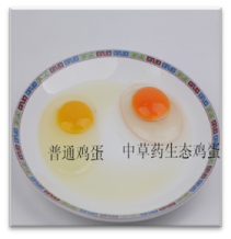�в�ҩι����̬�⡢��ϵ�в�Ʒ��ճ���