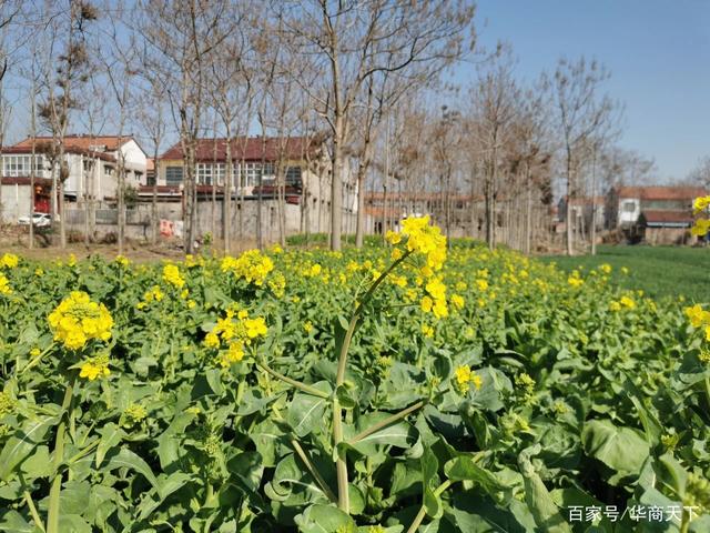 ר�һ��ϼҹ��꣬��̾���������ˣ���ũ���������ᣬ������Ҫ����