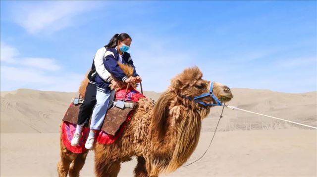 �½����ӣ����������ա����ھ��ӡ������ľ������ɳĮԽҰ��ս�����鿪��