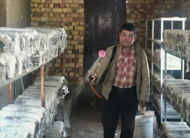 �½���ͼʲ������Ģ���������¸�ɡ����ũ����