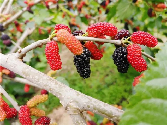 �½��������׽조��ɣ�塱��ɣ�ڽ���6��11�վٰ�