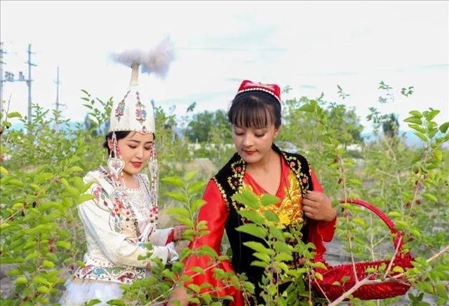 �½������ء�ɳ��ɣ��������ġ��׽조��ɣ�塱��ɣ��ʢ��Ļ