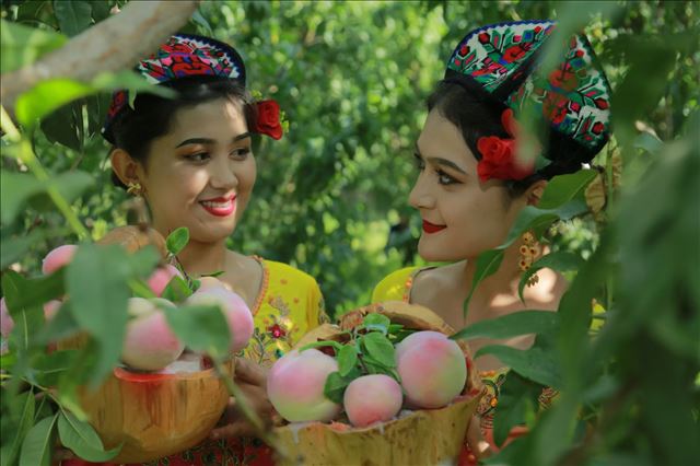 �½����踽���ҡ���ժ�����ߣ�������������ϵġ��ҡ���