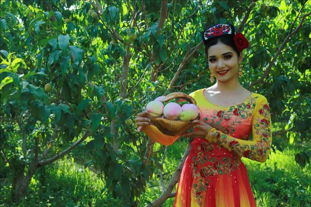 �½����踽���ҡ���ժ�����ߣ�������������ϵġ��ҡ���
