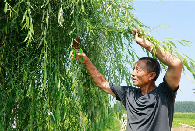 �����ϵر������ˡ�֮�ƺӹʵ���ɫ�£������ϵ�ԱѦ�񸻵���ҵ��ũ�¸���