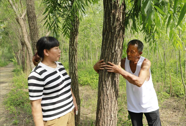 �����ϵر������ˡ�֮�ƺӹʵ���ɫ�£������ϵ�ԱѦ�񸻵���ҵ��ũ�¸���