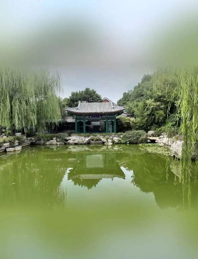 ����������ҵ�̻ᷢ�𡰷ܽ������̡������ھ���ʿ�黭��Ӱ��Ʒչ